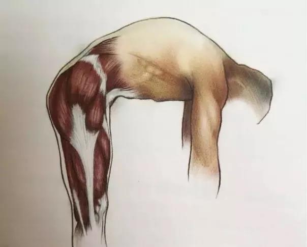15.jpg 15.jpg